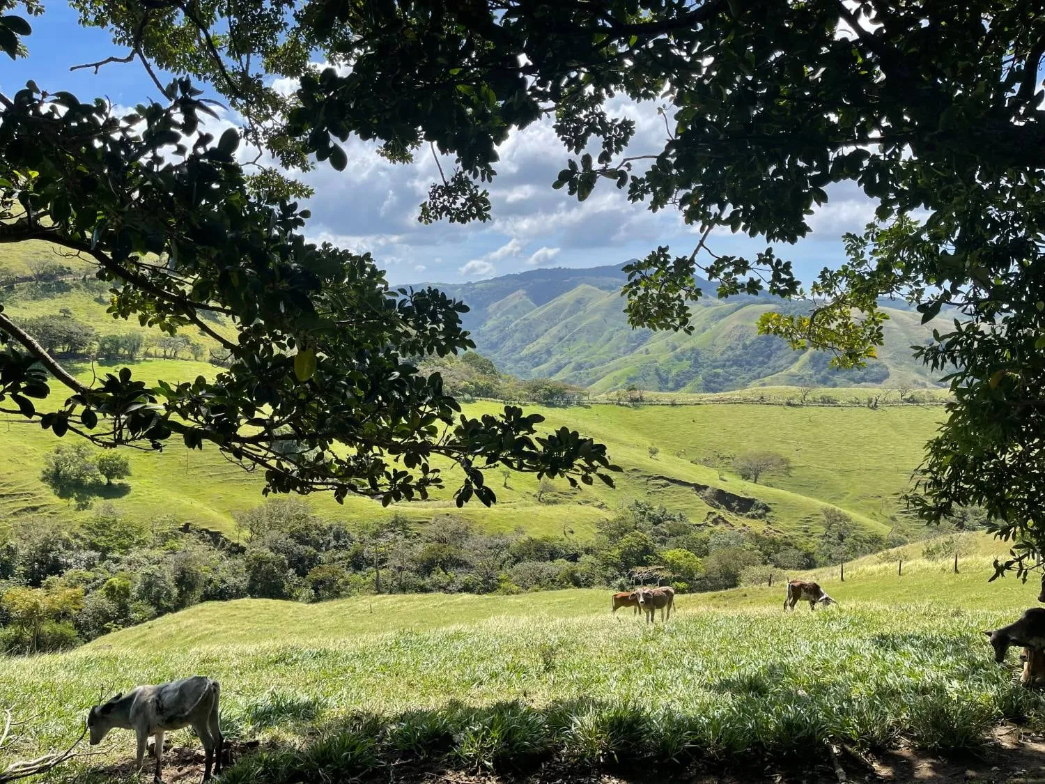 roadtrip, costa rica