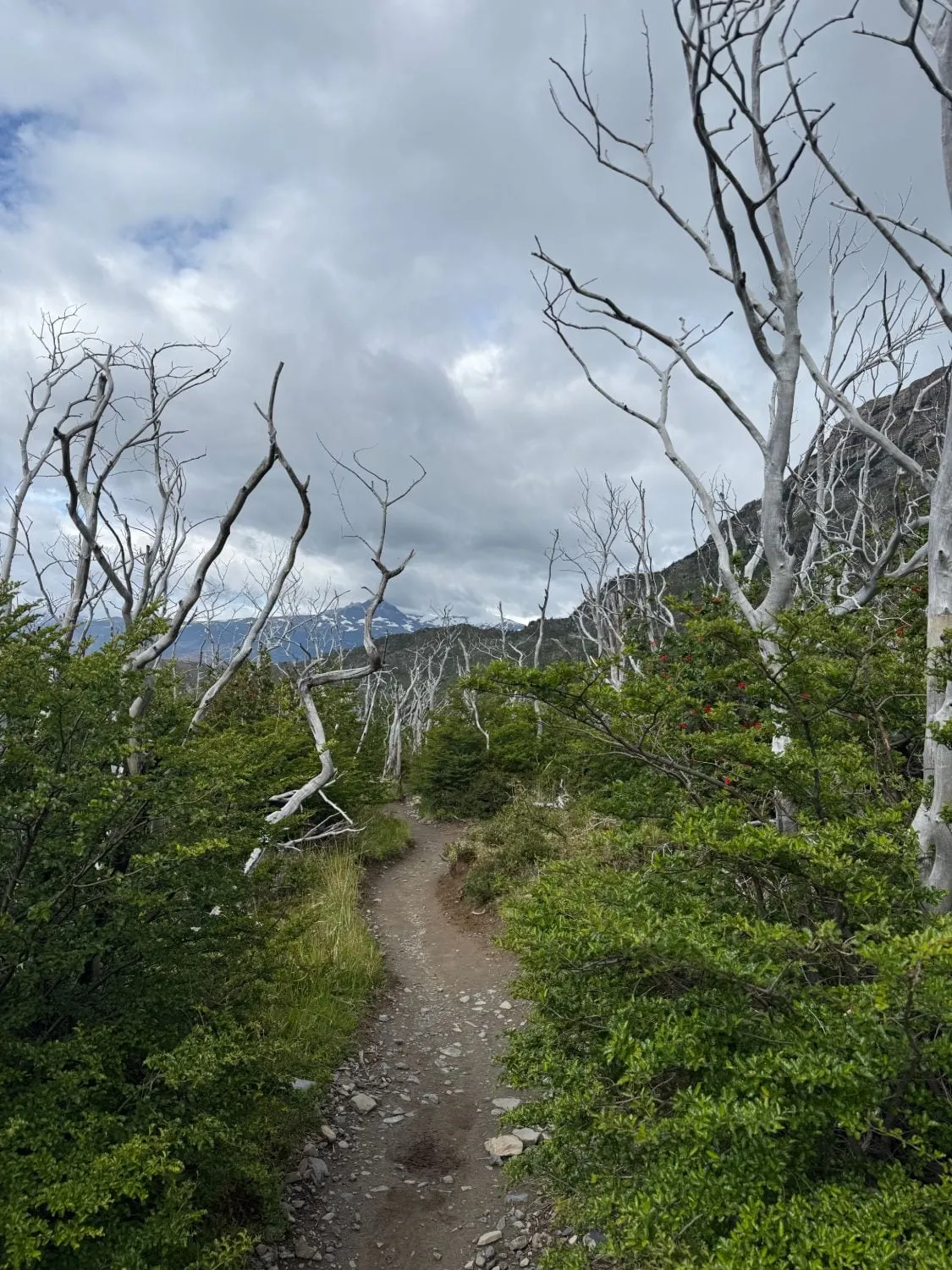 day 3, w-trek, patagonia