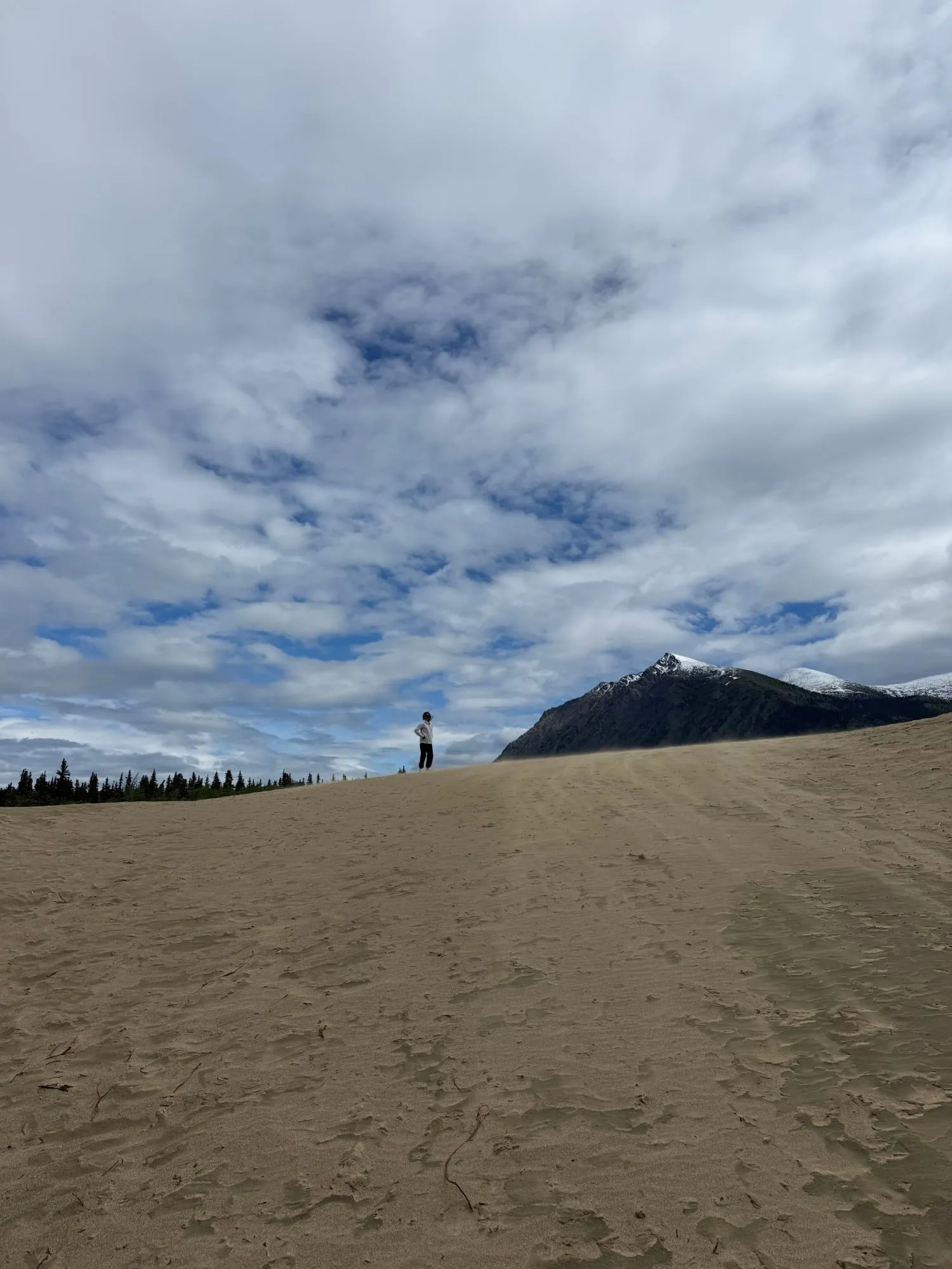 carcross desert, alaska